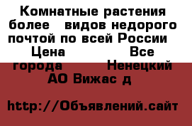 Комнатные растения более200видов недорого почтой по всей России › Цена ­ 100-500 - Все города  »    . Ненецкий АО,Вижас д.